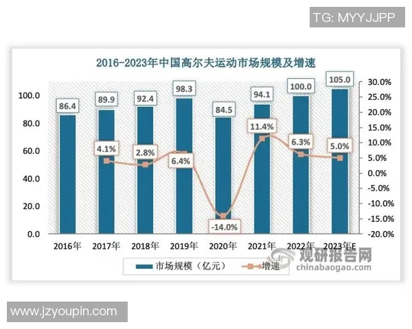 杭州排球队心理素质深度对比分析与提升策略探讨